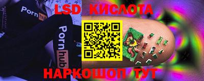 ПСИЛОЦИБИНОВЫЕ ГРИБЫ Гатчина