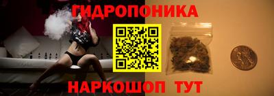 мяу мяу мука Гай