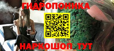 мяу мяу мука Гай